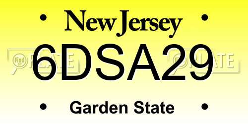 6DSA29 New Jersey License Plate