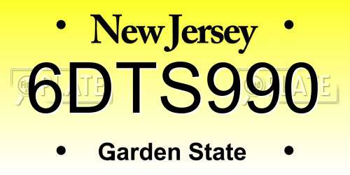 6DTS990 New Jersey License Plate