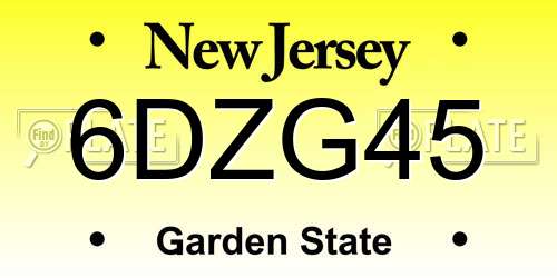 6DZG45 New Jersey License Plate