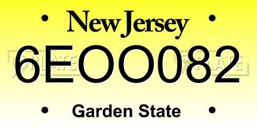 6EOO082 New Jersey License Plate