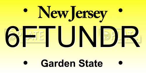 6FTUNDR New Jersey License Plate