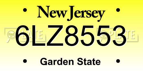 6LZ8553 New Jersey License Plate