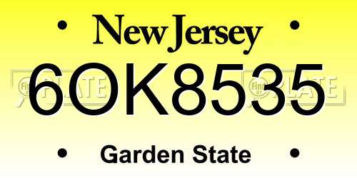 6OK8535 New Jersey License Plate