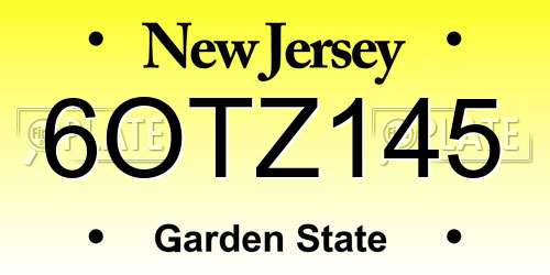 6OTZ145 New Jersey License Plate