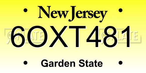 6OXT481 New Jersey License Plate