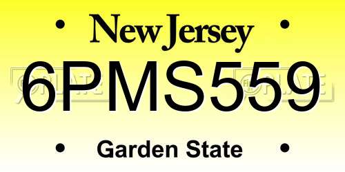 6PMS559 New Jersey License Plate