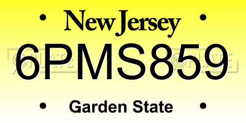 6PMS859 New Jersey License Plate