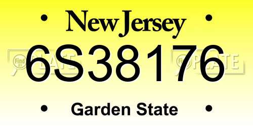 6S38176 New Jersey License Plate