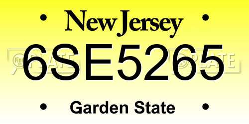 6SE5265 New Jersey License Plate