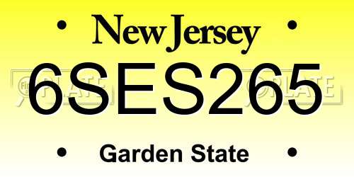 6SES265 New Jersey License Plate