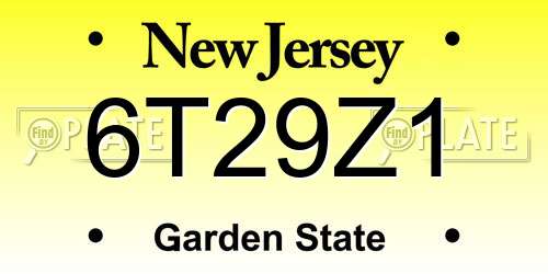 6T29Z1 New Jersey License Plate