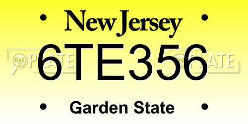 6TE356 New Jersey License Plate