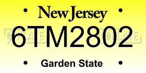 6TM2802 New Jersey License Plate