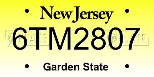 6TM2807 New Jersey License Plate