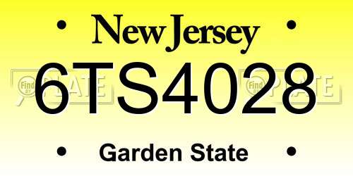 6TS4028 New Jersey License Plate