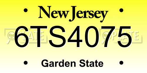 6TS4075 New Jersey License Plate