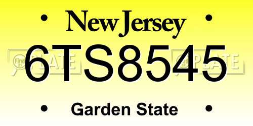6TS8545 New Jersey License Plate