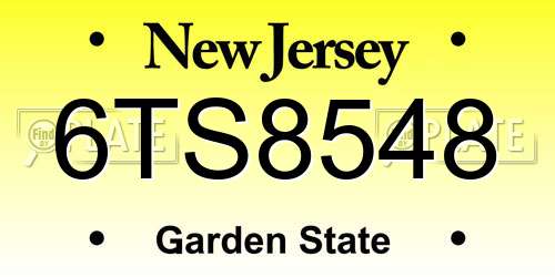 6TS8548 New Jersey License Plate