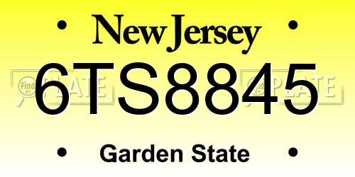 6TS8845 New Jersey License Plate