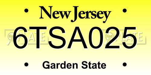 6TSA025 New Jersey License Plate