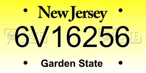 6V16256 New Jersey License Plate