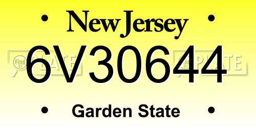 6V30644 New Jersey License Plate