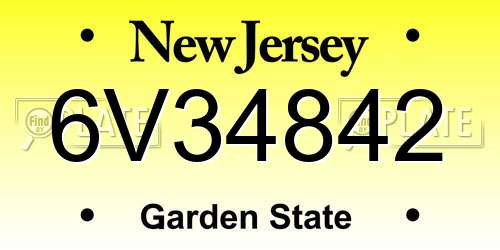6V34842 New Jersey License Plate
