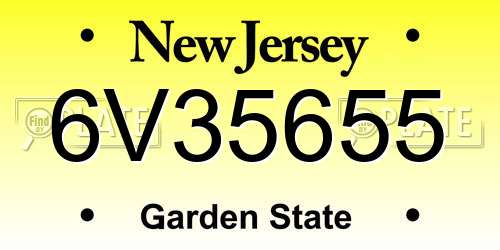 6V35655 New Jersey License Plate