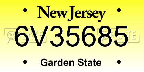 6V35685 New Jersey License Plate