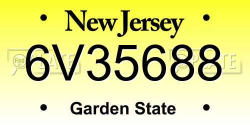 6V35688 New Jersey License Plate