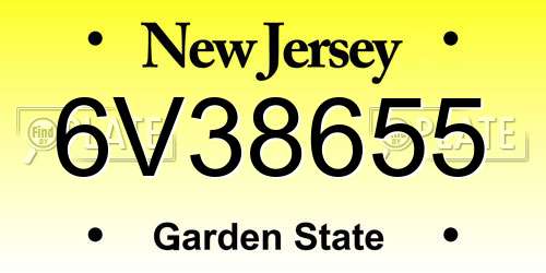 6V38655 New Jersey License Plate