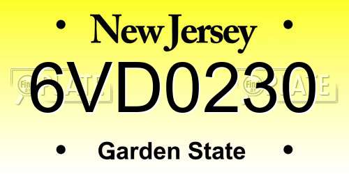6VD0230 New Jersey License Plate