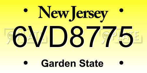 6VD8775 New Jersey License Plate