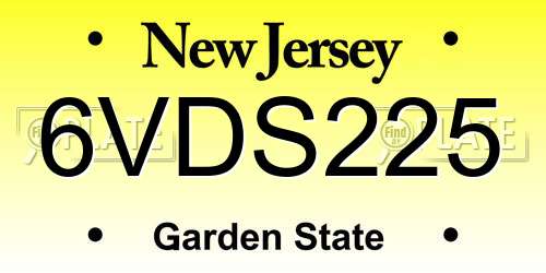 6VDS225 New Jersey License Plate