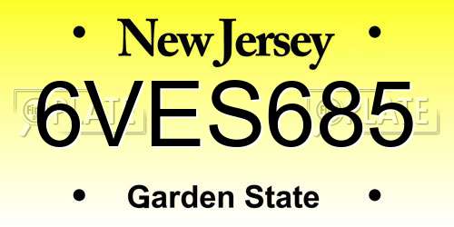 6VES685 New Jersey License Plate