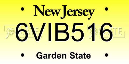 6VIB516 New Jersey License Plate