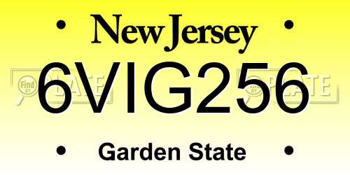 6VIG256 New Jersey License Plate