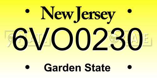 6VO0230 New Jersey License Plate