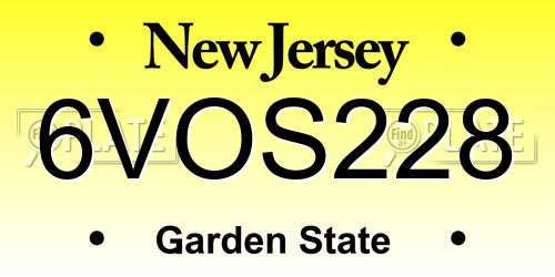 6VOS228 New Jersey License Plate