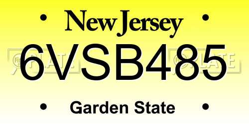 6VSB485 New Jersey License Plate