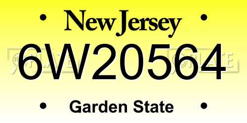 6W20564 New Jersey License Plate