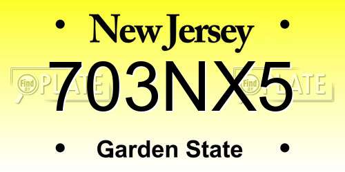 703NX5 New Jersey License Plate