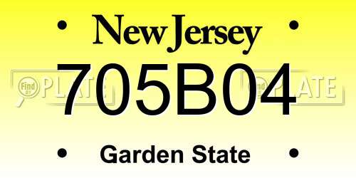 705B04 New Jersey License Plate