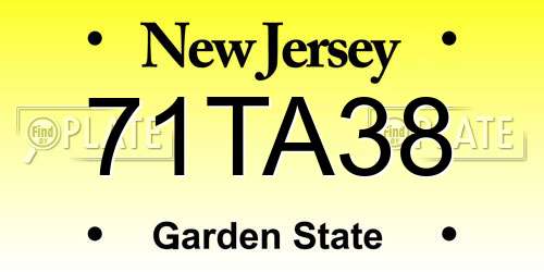 71TA38 New Jersey License Plate