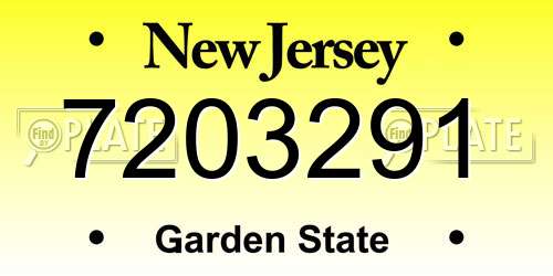 7203291 New Jersey License Plate