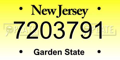 7203791 New Jersey License Plate