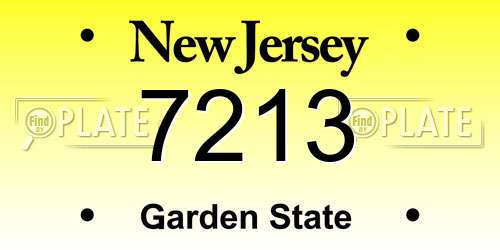 7213 New Jersey License Plate