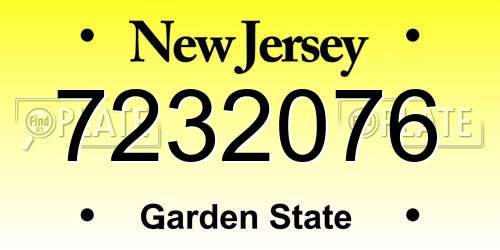7232076 New Jersey License Plate