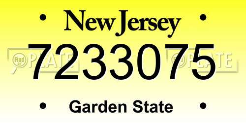 7233075 New Jersey License Plate