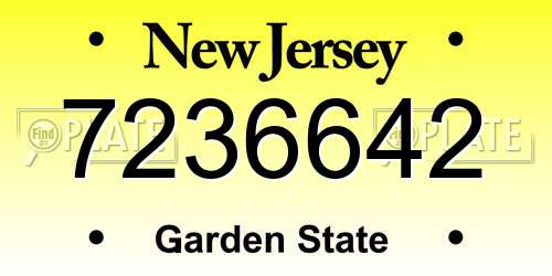 7236642 New Jersey License Plate